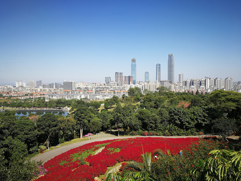 花城与绿城