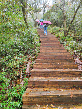 龙苍沟景区木栈道