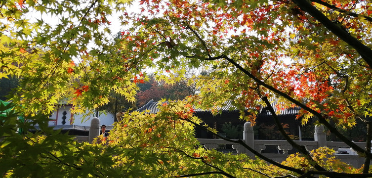 南京栖霞山