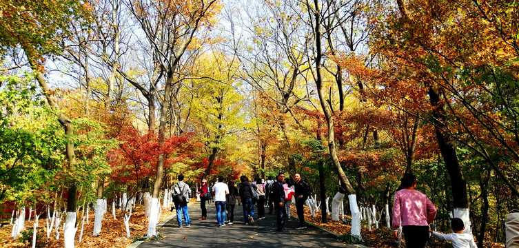 南京栖霞山