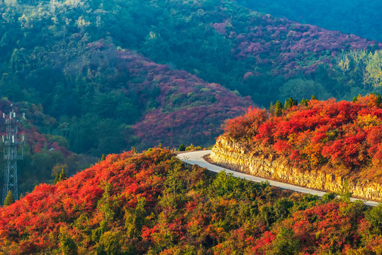 大山秋色