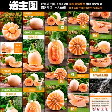 東方蜜甜瓜詳情