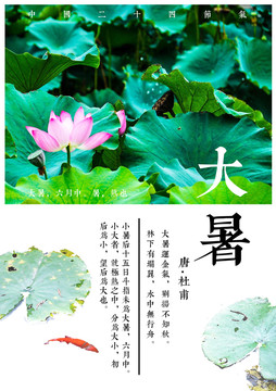 節(jié)氣大暑海報