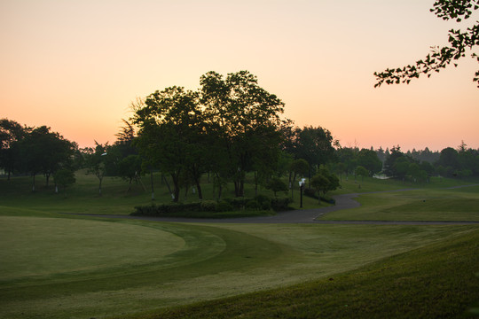 高尔夫球场的清晨