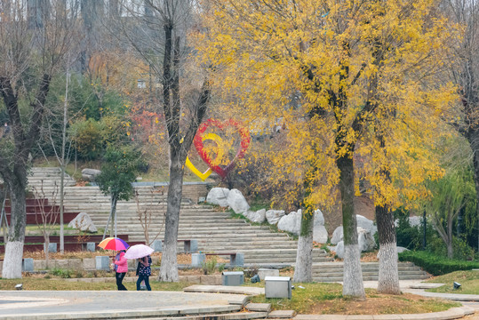 秋雨中的公园风景