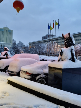 雪景