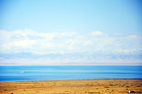 青海湖