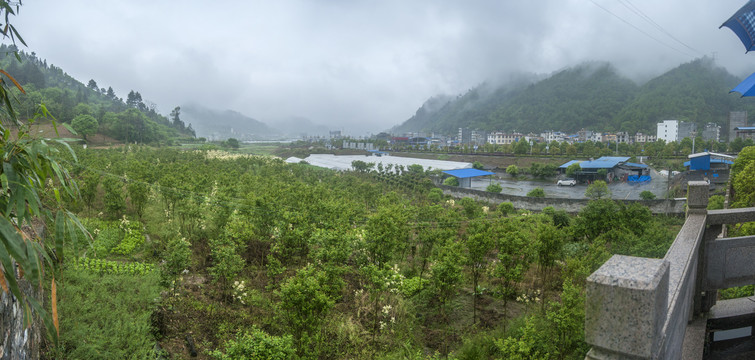 雾气弥漫的山峰