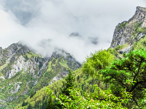 云雾群山