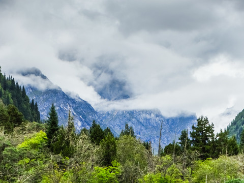 云霧群山