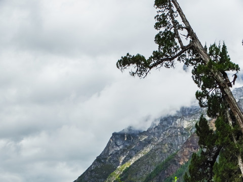 云霧群山