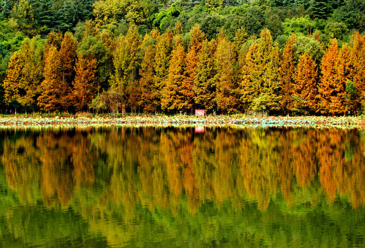 照母山湖景