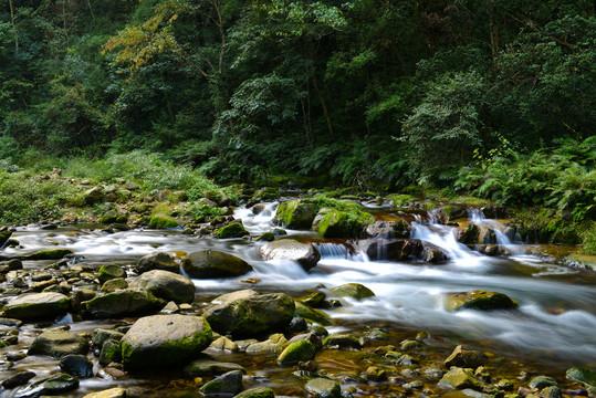 山谷流水绿树林