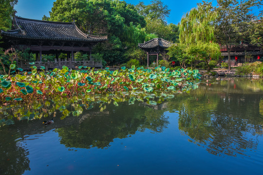 绍兴沈园