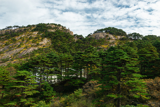 黄山风光