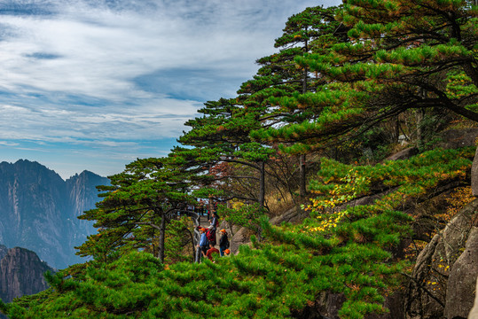 黄山风光