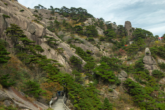 黃山風光