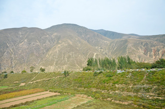 黄土高原