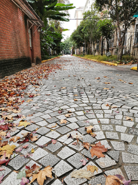 路面落叶