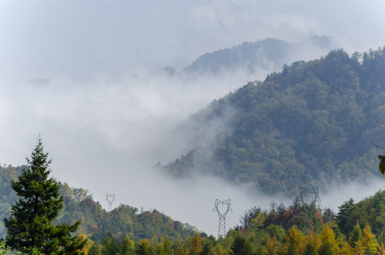 秦岭秋色