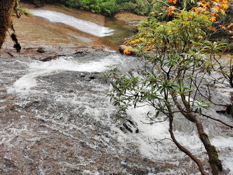 龙苍沟溪流