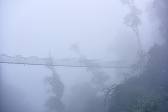 雾中的吊桥