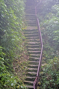 登山道