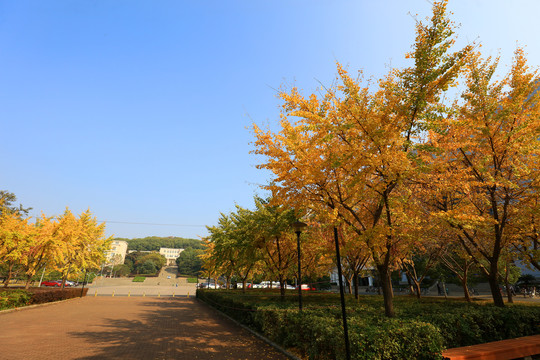 华中农业大学