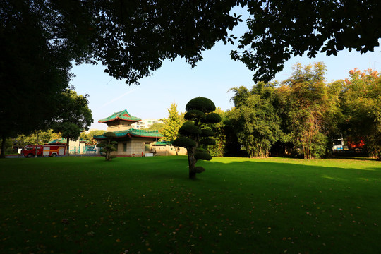 中南民族大学