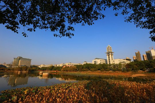 中南财经政法大学