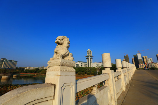 中南财经政法大学