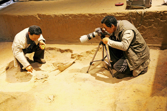 文物考古拍照