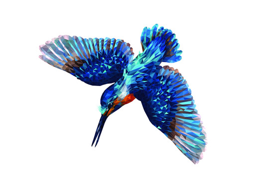 蜂鸟3D立体画