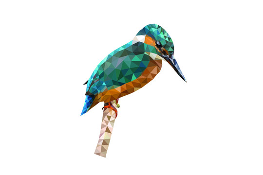 蜂鳥3D立體畫