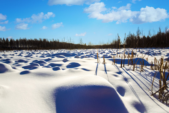 雪地雪景