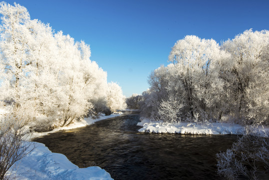 冬季雪景森林