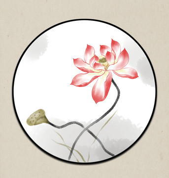 荷花