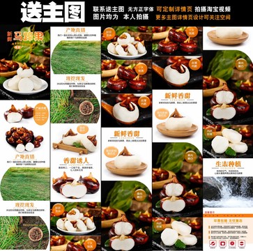 馬蹄詳情頁