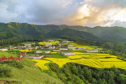 青海尖扎坎布拉国家森林公园