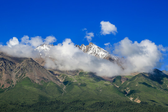 青海祁连牛心山