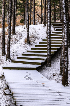 雪中的长春净月潭国家森林公园