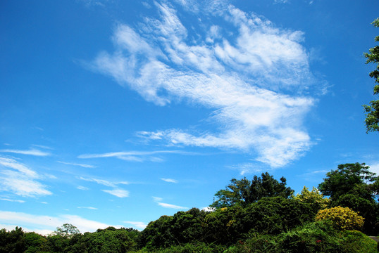 天空素材