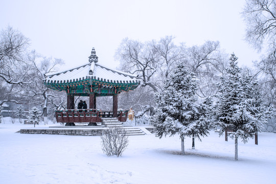 雪后的友沙公园