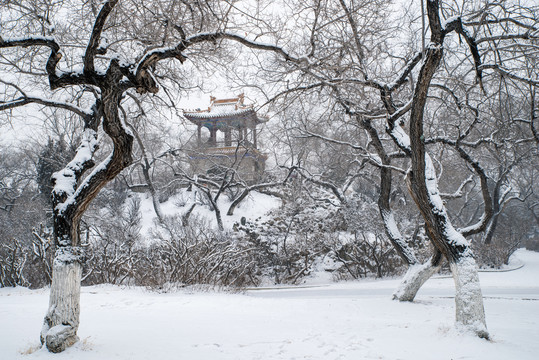 雪后的友沙公园