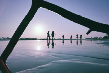 树枝框海滩景