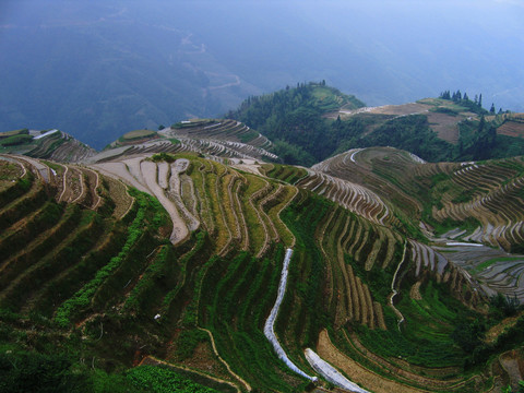 龙脊梯田