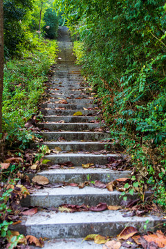 陆川县裕兴桃源山庄台阶