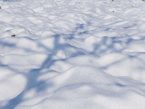 雪地