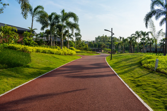 好看的景观道路