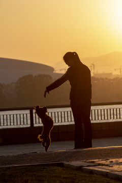 西夕下的女人和狗